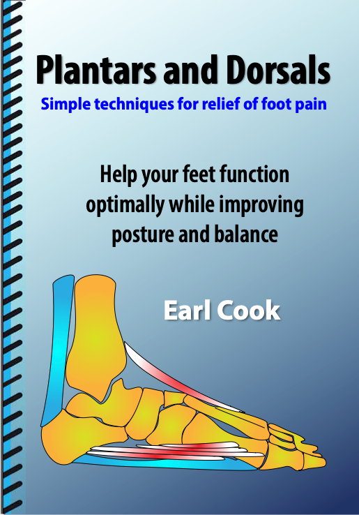 Plantars and Dorsals - Coil Bound (US Only)
