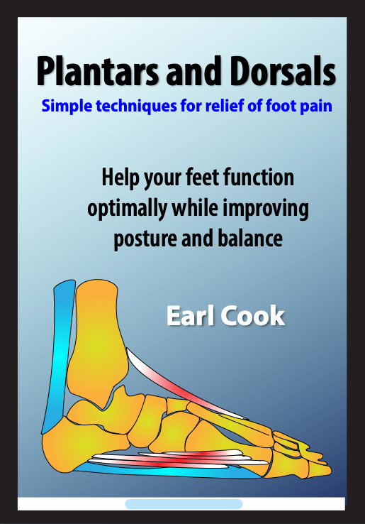 Plantars & Dorsals Interactive PDF Download