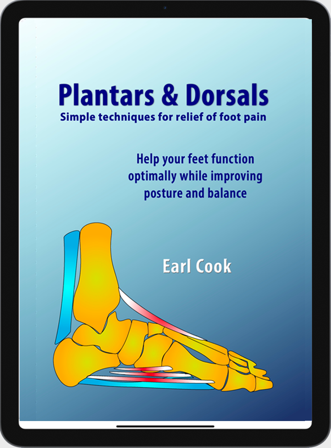 Plantars & Dorsals Interactive PDF Download